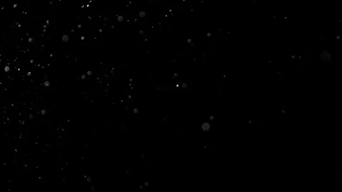 Natural Organic Dust Particles Float On Black Background. Dust In Motion. Stock Footage 314197849