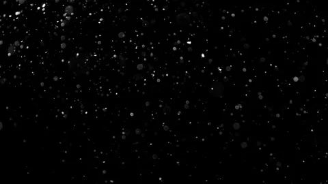 Natural Organic Dust Particles Float On Black Background. Dust In Motion. 库存影片 314197851