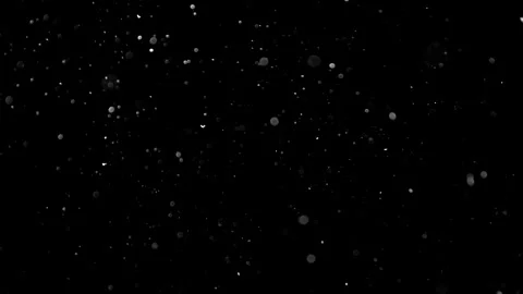 Natural Organic Dust Particles Float On Black Background. Dust In Motion. 库存影片 314197912