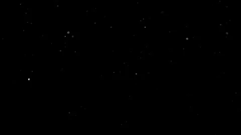 Natural Organic Dust Particles Float On Black Background. Dust In Motion. Stock Footage 314197927