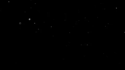 Natural Organic Dust Particles Float On Black Background. Dust In Motion. 库存影片 314197928