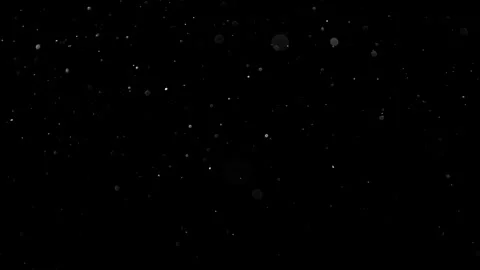 Natural Organic Dust Particles Float On Black Background. Dust In Motion. 库存影片 314197977