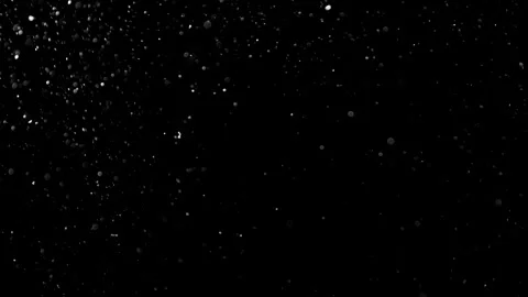 Natural Organic Dust Particles Float On Black Background. Dust In Motion. Vidéo 314198118
