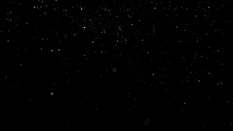 Natural Organic Dust Particles Float On Black Background. Dust In Motion. 库存影片 314198147