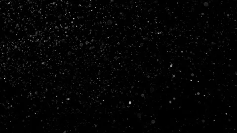 Natural Organic Dust Particles Float On Black Background. Dust In Motion. 库存影片 314198223