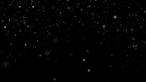 Natural Organic Dust Particles Float On Black Background. Dust In Motion. 库存影片 314200204