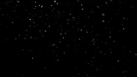 Natural Organic Dust Particles Float On Black Background. Dust In Motion. Stock Footage 314200248