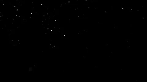 Natural Organic Dust Particles Float On Black Background. Dust In Motion. Stock Footage 314200264