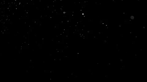 Natural Organic Dust Particles Float On Black Background. Dust In Motion. Stock Footage 314200293