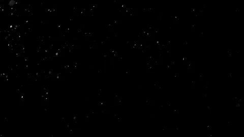 Natural Organic Dust Particles Float On Black Background. Dust In Motion. Stock Footage 314200296