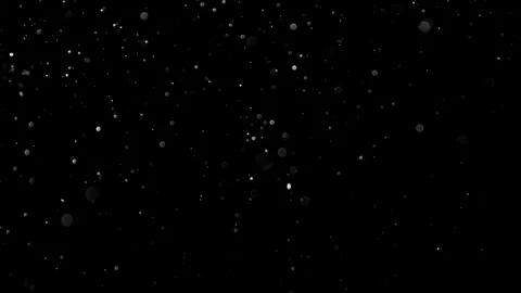 Natural Organic Dust Particles Float On Black Background. Dust In Motion. Vidéo 314200299