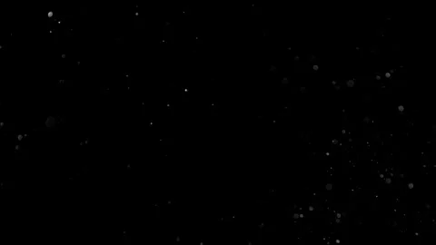 Natural Organic Dust Particles Float On Black Background. Dust In Motion. 库存影片 314200315