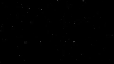 Natural Organic Dust Particles Float On Black Background. Dust In Motion. Stock Footage 314200326