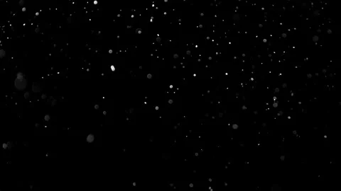 Natural Organic Dust Particles Float On Black Background. Dust In Motion. Vidéo 314200329