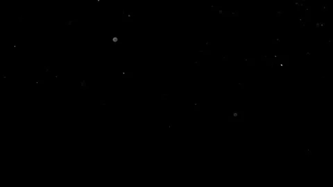 Natural Organic Dust Particles Float On Black Background. Dust In Motion. Vidéo 314200333