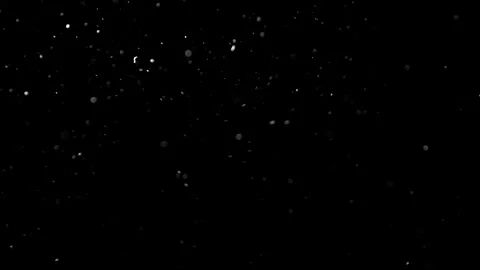 Natural Organic Dust Particles Float On Black Background. Dust In Motion. 库存影片 314200337