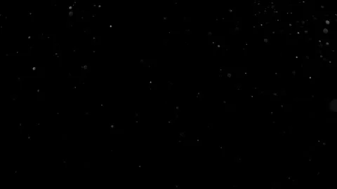 Natural Organic Dust Particles Float On Black Background. Dust In Motion. 库存影片 314200360