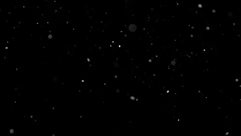 Natural Organic Dust Particles Float On Black Background. Dust In Motion. Stock Footage 314200427