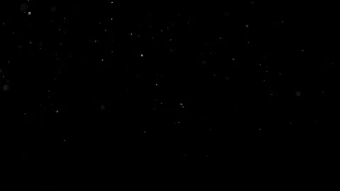 Natural Organic Dust Particles Float On Black Background. Dust In Motion. Stock-Footage 314200557