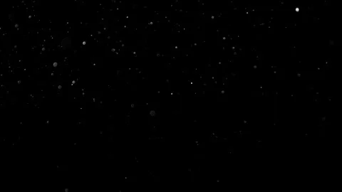 Natural Organic Dust Particles Float On Black Background. Dust In Motion. 库存影片 314200559