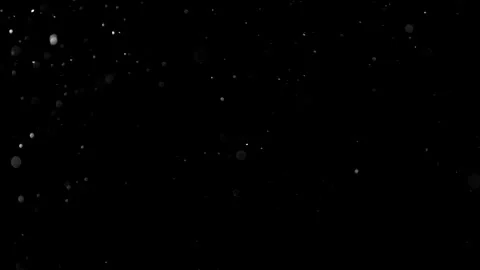 Natural Organic Dust Particles Float On Black Background. Dust In Motion. 库存影片 314200570