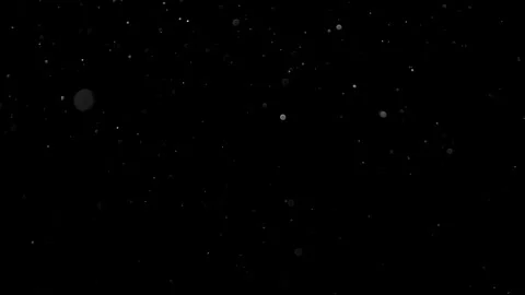 Natural Organic Dust Particles Float On Black Background. Dust In Motion. 库存影片 314200580