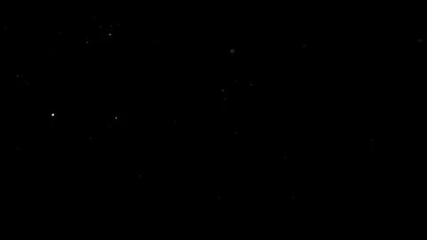 Natural Organic Dust Particles Float On Black Background. Dust In Motion. Vidéo 314200620