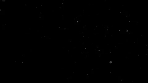 Natural Organic Dust Particles Float On Black Background. Dust In Motion. Vidéo 314200635