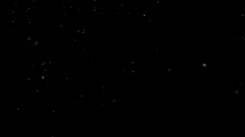 Natural Organic Dust Particles Float On Black Background. Dust In Motion. Stock Footage 314200672
