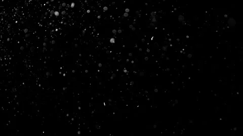 Natural Organic Dust Particles Float On Black Background. Dust In Motion. Stock Footage 314200698