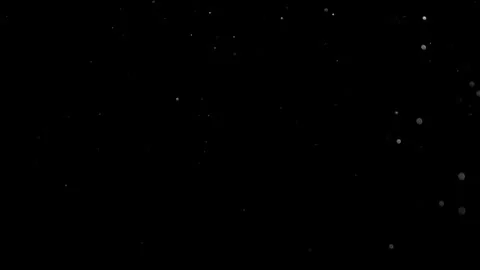 Natural Organic Dust Particles Float On Black Background. Dust In Motion. Stock Footage 314200703