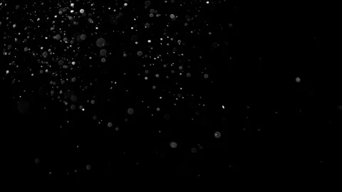 Natural Organic Dust Particles Float On Black Background. Dust In Motion. 库存影片 314200721