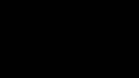 Natural Organic Dust Particles Float On Black Background. Dust In Motion. 库存影片 314200750