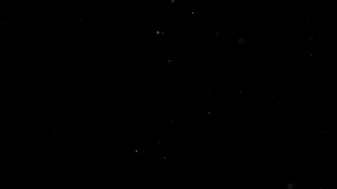 Natural Organic Dust Particles Float On Black Background. Dust In Motion. Stock Footage 314200753
