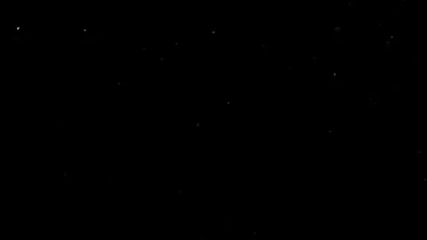 Natural Organic Dust Particles Float On Black Background. Dust In Motion. Stock Footage 314200760