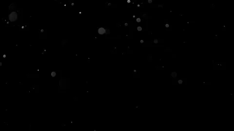 Natural Organic Dust Particles Float On Black Background. Dust In Motion. Vidéo 314200803