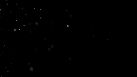 Natural Organic Dust Particles Float On Black Background. Dust In Motion. Vidéo 314200847