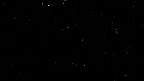 Natural Organic Dust Particles Float On Black Background. Dust In Motion. Vidéo 314200863