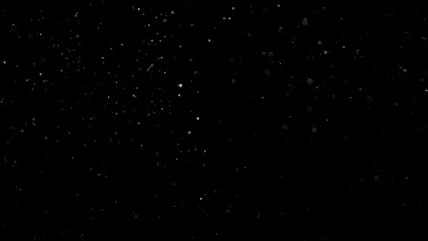 Natural Organic Dust Particles Float On Black Background. Dust In Motion. Stock Footage 314200878