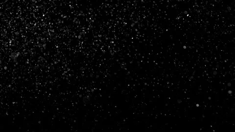 Natural Organic Dust Particles Float On Black Background. Dust In Motion. Vidéo 314200880