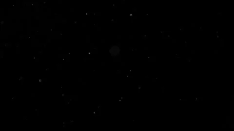 Natural Organic Dust Particles Float On Black Background. Dust In Motion. Stock Footage 314200886