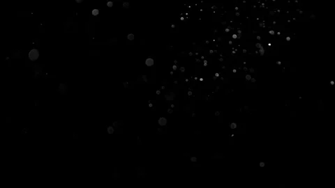 Natural Organic Dust Particles Float On Black Background. Dust In Motion. 库存影片 314200902