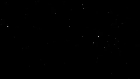 Natural Organic Dust Particles Float On Black Background. Dust In Motion. 库存影片 314200914