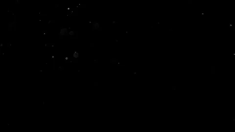 Natural Organic Dust Particles Float On Black Background. Dust In Motion. Stock Footage 314200915