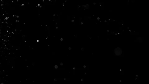 Natural Organic Dust Particles Float On Black Background. Dust In Motion. 库存影片 314200920