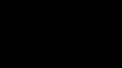 Natural Organic Dust Particles Float On Black Background. Dust In Motion. Vidéo 314200929