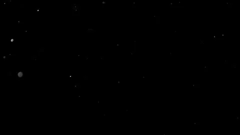 Natural Organic Dust Particles Float On Black Background. Dust In Motion. 库存影片 314200937