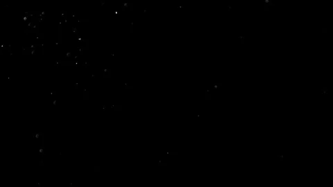 Natural Organic Dust Particles Float On Black Background. Dust In Motion. Vidéo 314200939