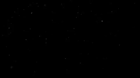 Natural Organic Dust Particles Float On Black Background. Dust In Motion. 库存影片 314200942