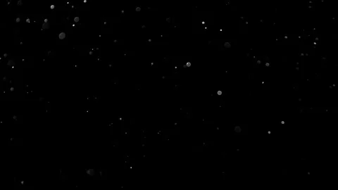 Natural Organic Dust Particles Float On Black Background. Dust In Motion. Vidéo 314200951